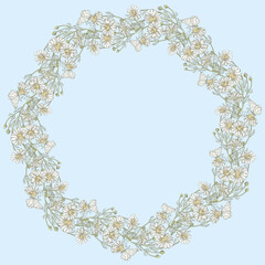 Decorative floral wreath from drawn meadow camomiles bunches