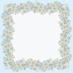Decorative greeting card with border from drawn meadow camomiles bunches