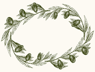 Oval border from olive branches  sketches