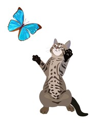 Fototapeta na wymiar Playful kitten catches a big blue butterfly isolated on a white background. Beautiful card, fabric print in vector with the symbol of the Chinese year of the cat, 2023.