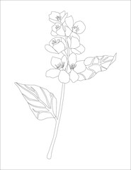Sketch Floral. Black and white with line art on white backgrounds.Vector illustration.
