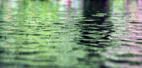 rippling water surface with buzzing bugs