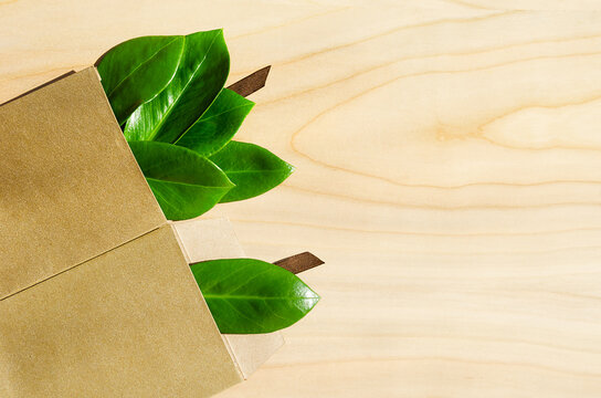 Eco friendly packaging, paper recycling, zero waste, natural products concept.