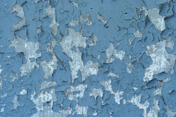 Gray stone shabby wall with old peeling blue paint