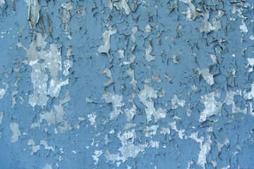 Gray stone shabby wall with old peeling blue paint