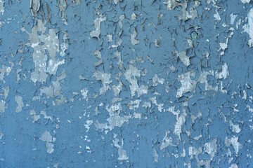 Fototapeta premium Gray stone shabby wall with old peeling blue paint