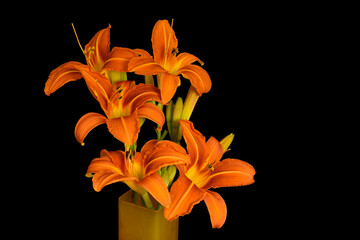 Daylily Bouquet 08
