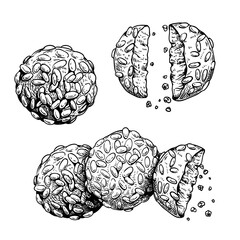 Traditional Italian cookies Pignoli. Italian biscuits set. Top view. Collection of homemade baked sweets. Hand drawn sketch style. Vintage illustrations isolated on white background.