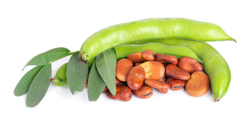 Fresh broad beans in pods with green leaf, isolated on white background. Dry fava beans.