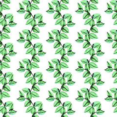 Eucalyptus watercolor seamless pattern background for fabric, wallpaper, wrapping paper.