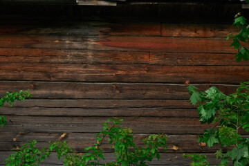 Fragment of old cracked country wooden house wall
