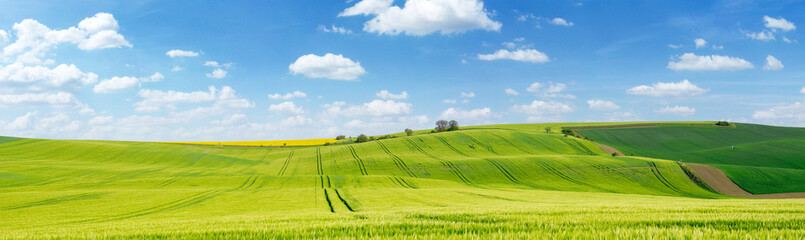 Beautiful summer day over green fields against blue cloudy sky