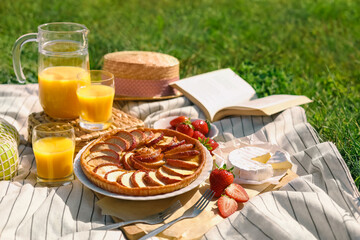 Blanket with different products and book on green grass. Summer picnic