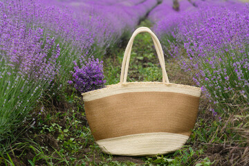 Fototapeta na wymiar Wicker bag with beautiful lavender flowers in field
