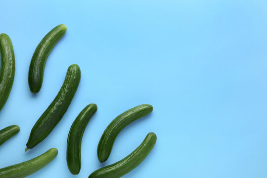 Fresh ripe cucumbers on light blue background, flat lay. Space for text