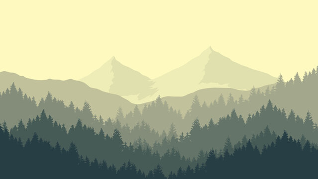 Misty mountain landscape and pine forest, mountain silhouette.