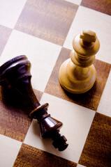 two chess kings, one down, checkmate concpet