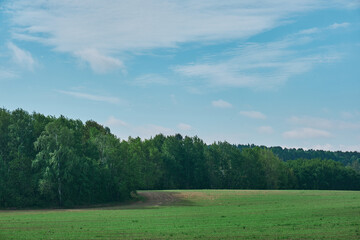 Beauty landscape of grass field with forest trees and environment public park with sun rays