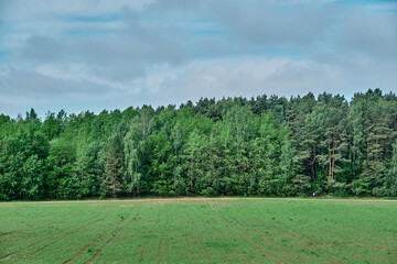 Beauty landscape of grass field with forest trees and environment public park with sun rays