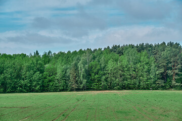 Beauty landscape of grass field with forest trees and environment public park with sun rays