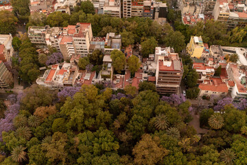 Fototapeta na wymiar Vista aérea del Parque México, CDMX