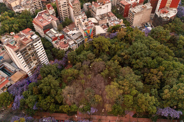 Parque M&eacute;xico, CDMX