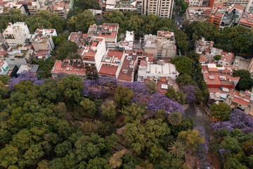 Fototapeta na wymiar Vista aérea del Parque México, CDMX