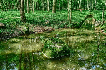 Obraz premium Green moss on stones on a river in the very green forrest