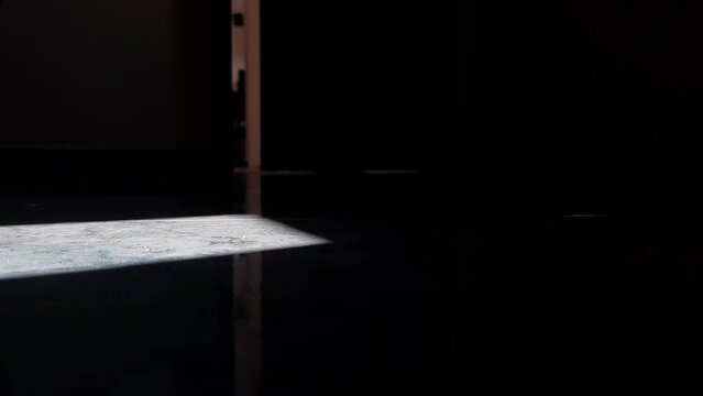 Rechinido de puerta de terror, puerta abri&eacute;ndose en un cuerto oscuro