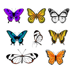 Fototapeta na wymiar Set of Butterflies - Colorful Butterfly Collection