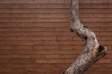 Background, texture of a wooden old fence.