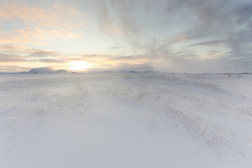 Sunrise in Iceland snow.