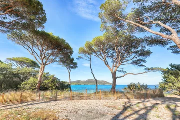 Photo sur Plexiglas Plage de Palombaggia, Corse Fabulous view of  Palombaggia and Tamaricciu beaches.