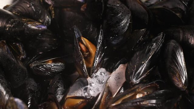 Cooking mussels detail