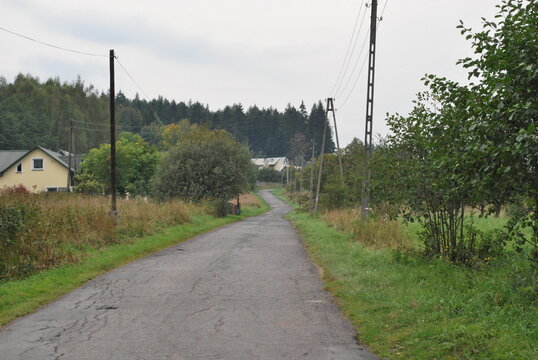 a street amidst forests, thickets and single houses in a small village