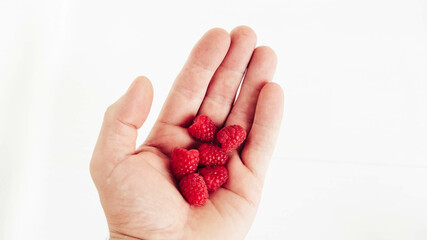 Fresh raspberry in male hand on white background