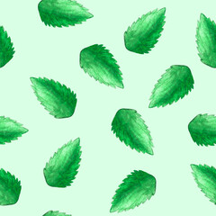 Hand drawn watercolor seamless  pattern with lot of green single peppermint leaves as background. Herbal aquarelle element for printing fabric, wrapping paper, cards © Sunny_Smile