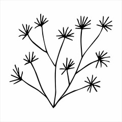 hand drawn doodle botanical floral element for floral design concept