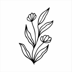 Fototapeta na wymiar hand drawn doodle botanical floral element for floral design concept
