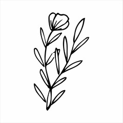 hand drawn doodle botanical floral element for floral design concept