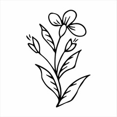 hand drawn doodle botanical floral element for floral design concept
