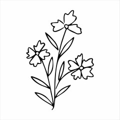 hand drawn doodle botanical floral element for floral design concept