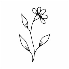 hand drawn doodle botanical floral element for floral design concept