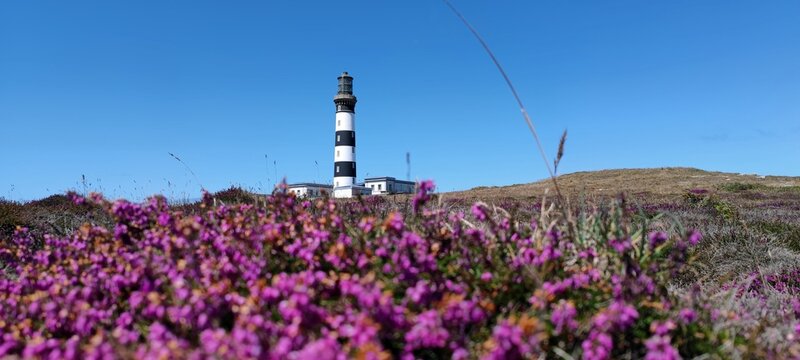 Leuchtturm auf Outessant/Bretagne mit Heidelandschaft