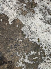 Gray concrete wall texture