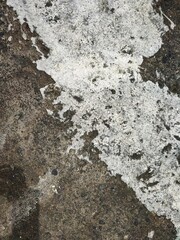 Gray concrete wall texture
