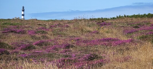 Heidelandschaft und Leuchtturm in der Bretagne