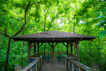 a brown wooden pergola with a brown wooden hand rail surrounded by lush green trees and plants at...