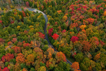 Aerial of Winding Roadway on Cloudy Day in Autumn - Blackwater Falls State Park - Appalachian Mountain Region - West Virginia - 515489887