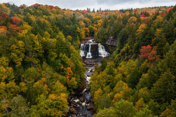 Aerial of Blackwater Falls on Cloudy Day in Autumn - Long Exposure of Waterfall - Blackwater Falls State Park - Appalachian Mountain Region - West Virginia - 515489889